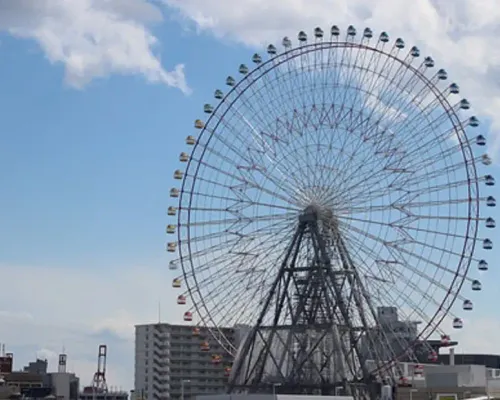 Osaka Custom Half Day Tour